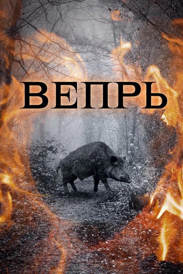 Вепрь постер